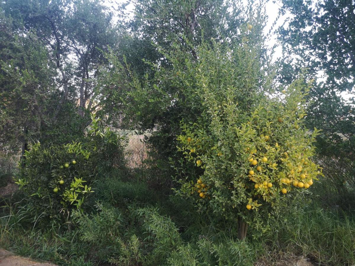 Cabana Jacaranda Salamanca Екстер'єр фото
